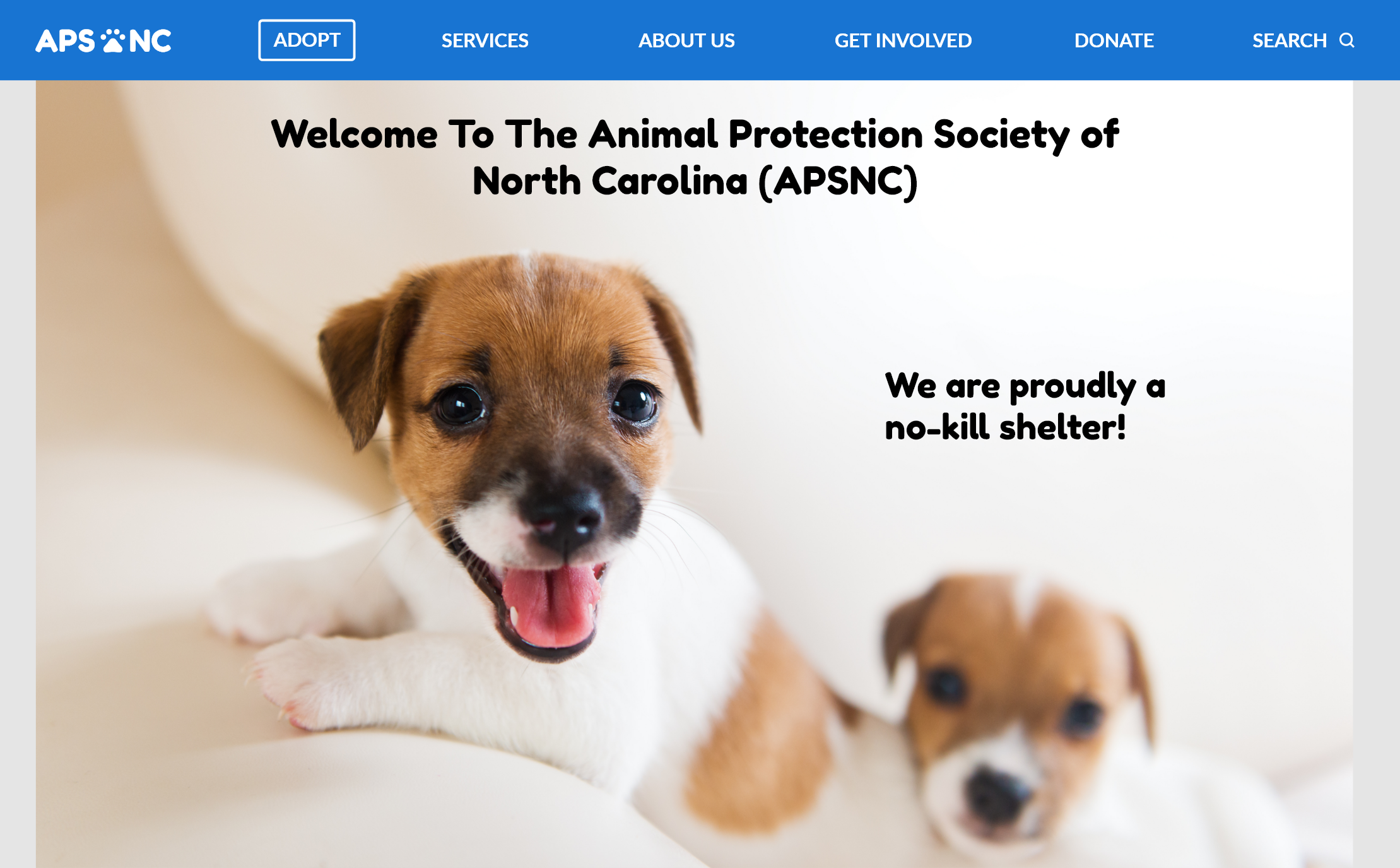 A mockup of the homepage of the APSNC website. Used in the design of the APSNC pet adoption flow.